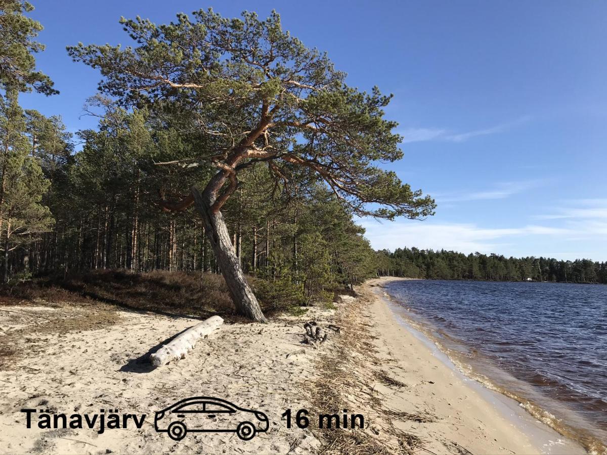 Uneallika Puhkemaja-Kuelalistemaja Pae Exteriér fotografie